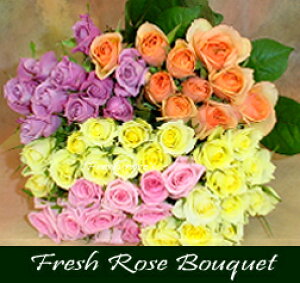 yzstFA[e[t1x͖yKu[PzNX́y100{zԑ!"ɏփo""Dn[j["𖡂키ytbV[YzslE@lE