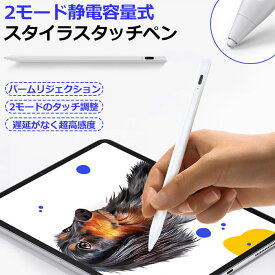 【スーパーSALE 50％off】 超高感度 タッチペン スタイラスペン ペンシル タブレット iPad iPad air iPad mini iPad pro 対応 傾き感知 極細 軽量 磁気吸着 自動電源OFF 遅延 途切れ 誤操作防止 iPad第9 8 7 6世代 iPad mini6 Air4 mini5 10.9 10.2 8.3 iPad Pro12.9