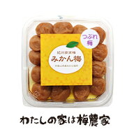 【なくなり次第終了！】つぶれ梅みかん梅300g