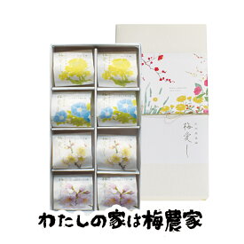 紀州南高梅　梅愛し