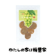 【新発売お試し価格中】数量限定！種なしマスカット梅