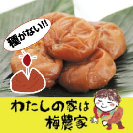 楽天市場 わたしの家は梅農家 しそ漬うす塩の通販
