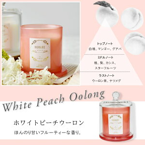 _tf[|Cg3{I A}Lh Lh \CA}Lh \CLh Lh^ LhCg VR RR  Mtg v[g 