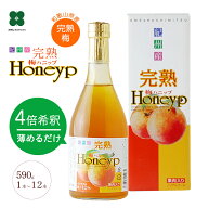 完熟梅ハニップ 590g 希釈用 梅シロップ 梅ドリンク原液 紀州産完熟梅果汁使用