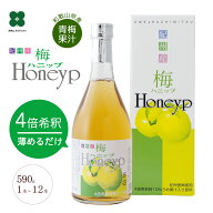 希釈用梅ドリンク 原液 梅ハニップ 590g 水や炭酸で割る梅ジュース（梅シロップ） 紀州産青梅果汁使用