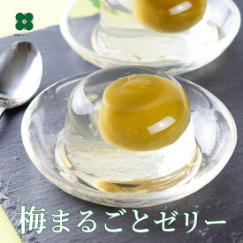 梅ゼリー 6個セット｜紀州産南高梅 梅の実まるごと入り ギフト 手土産 お中元