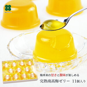 ~[[ ZbgbIBn썂~[[ a̎RY aXC[c 퉷ۑ