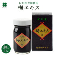 梅肉エキス 梅エキス 練りタイプ 95g｜紀州産青梅使用 国産 自社製造 プラム食品