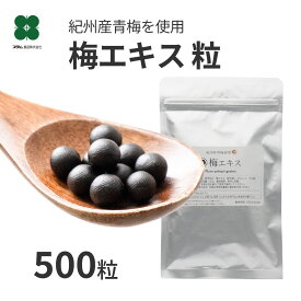 梅肉エキス 粒 500粒｜紀州産青梅使用 サプリメント 大容量100g ドライキープ袋入 送料無料