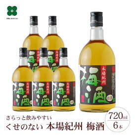 梅酒 【 本場紀州梅酒 720ml 】 紀州南高梅の梅酒 ギフト プレゼント 和歌山 セット