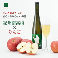りんご梅酒 500ml アルコール5％ フルーツ梅酒 林檎酒 ギフト プレゼント 女性向け 梅酒専門店プラム