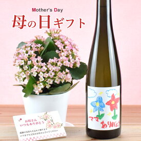 楽天市場 梅酒 瓶 おしゃれの通販