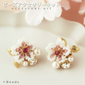 yzr[YXeb`ō̉ԂLbgł  ( r[ ) EsAX ( CO ) Lbg ( jƎt ) r[YXeb`Lbg ̃ANZT[ Ԍɂ VR΃r[