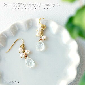 r[YLbg ANZT[Lbg sAX(CO)LbgAX^XNyAVFCvEsAX(CO)Lbg  sAX Lbg CO Lbg Wp[ƃNX^ 