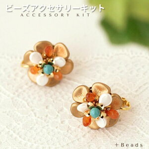 r[YLbg ANZT[Lbg COLbg JAECOLbg