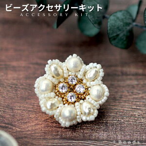 _P2{I^yzp[t[Eu[`Lbg ANZT[ nhCh l L[rbN`gƃRbgp[̃u[` r[YANZT[ Lbg p[u