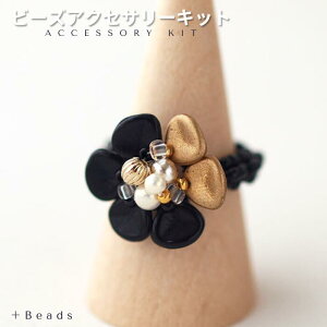 r[YANZT[Lbg OLbg gubNt[EOLbg r[Y Lbg r[YLbg OLbg ҂݃O `FRr[Y nhCh w `FRԂт