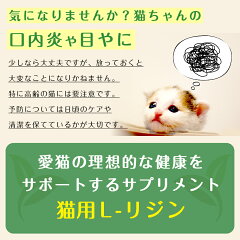 送料無料国産猫用L-リジン(50g)与えやすい極細粉末タイプ計量スプーン付き口内炎や目ヤニの発生を抑える動物用サプリメント