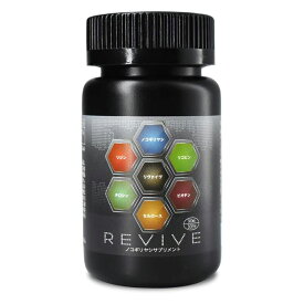 楽天市場 毛髪力の通販