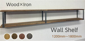 yVizEH[VFt Y VR ACA Vv  I[_[Ch