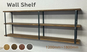 yVizEH[VFt Y VR ACA Vv  I[_[Ch