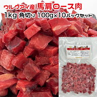 犬用・猫用 ウルグアイ産 馬肩ロース肉 1kg 角切り100g×10パック 冷凍真空パック【クール便発送】犬 猫 …