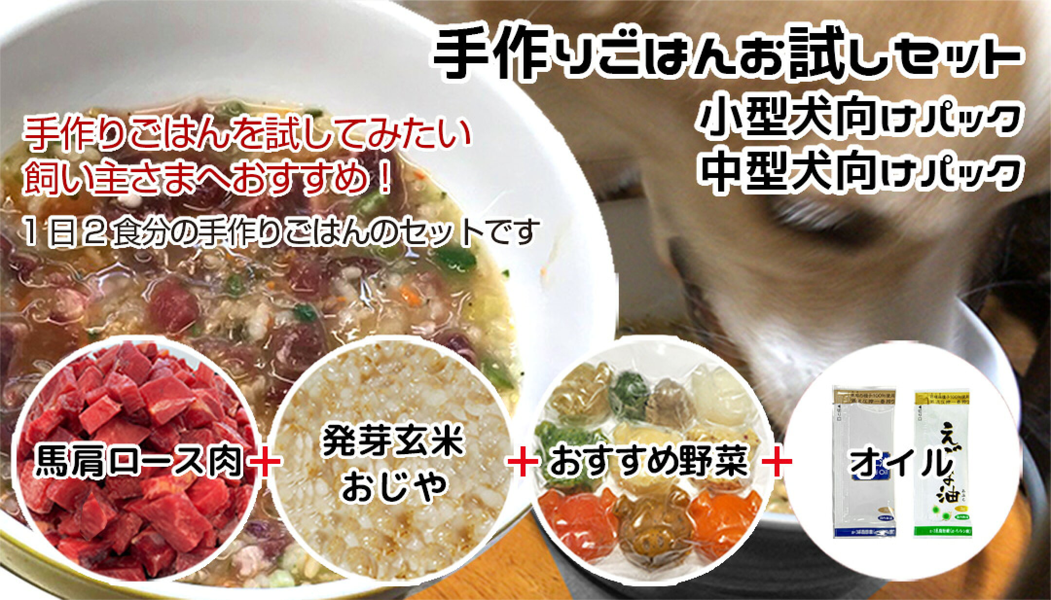 手作りごはんお試しセット