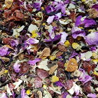 12.ピーチ香る贅沢な午後のリラックスティー50g送料無料【Plus Herb ハーブティー】