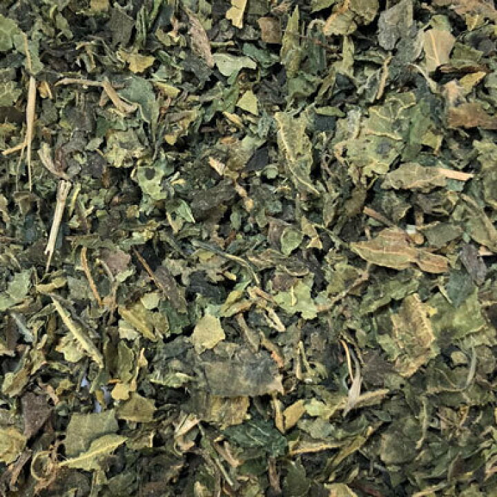 楽天市場 送料無料 ネトル 50ｇ Plus Herb ハーブティー ハーブ ドライハーブ ハーブティー ハーブティ ネトルティー 紅茶 ノンカフェイン ビタミン ミネラル 鉄分 健康 お取り寄せ 大人 女性 産後 趣味 鉄 鉄分 ビタミンc 健康茶 プラスハーブ 楽天市場店