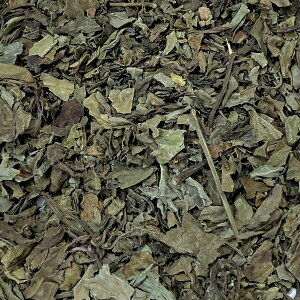 @N~XN`@yPlus Herb n[ueB[z N mJtFC fJtF JtFCX ˂Ђ ݂񒃁@˂̂Ђ@O򑐁@@WeB[