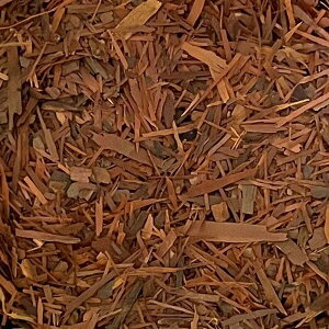  pE_R io[Nj y Plus Herb n[ueB[ zn[ueB[ pE_R n[ueB n[u   Cy Cy ANACJ[ pEfAR hCn[u ACXeB