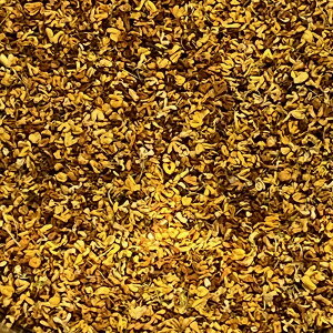  LNZC yPlusHerbn[ueB[z ؍  A} _CGbg  ؍҂̍ ؍Ғ LNZC ؍҂  N  g jԒ jԒ Ԓ n[ue