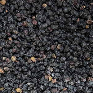  G_[x[ y PlusHerb n[ueB[ z ZCEjgR mjgR N  g n[ueB[ jgR ʎ t[eB t[c n[u |tFm[ r^~a r