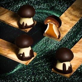 バレンタイン クルイゼル(CLUIZEL)シャンピニオン・アソルティモン チョコレート（ギフト まとめ買い 誕生日 お祝い プレゼント ちょっとしたお返し 手土産に最適 タベリエ TABELIER ）