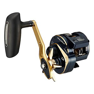 yz_C(DAIWA) 21 \eBKIC 300H-SJ