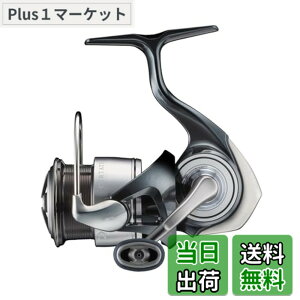 �y���������z�_�C��(DAIWA) �X�s�j���O���[�� 24�Z���e-�g FC LT2000S-H (2024�N���f��)