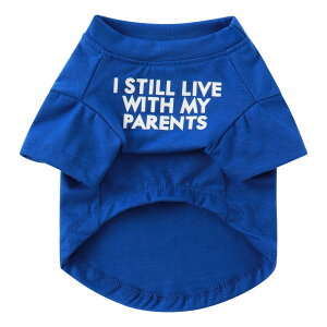 yzJimjis  t  H ~ ̕ ^Ngbv ybg   L    hbOEFAm L̕ ʋC Lk U o  ѕی 