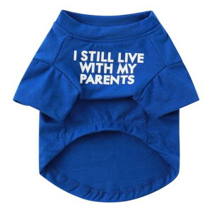 yzJimjis  t  H ~ ̕ ^Ngbv ybg   L    hbOEFAm L̕ ʋC Lk U o  ѕی 