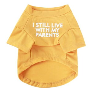 yzJimjis  t  H ~ ̕ ^Ngbv ybg   L    hbOEFAm L̕ ʋC Lk U o  ѕی 