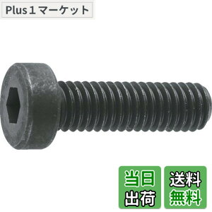 �y���������zTRUSCO(�g���X�R) �ᓪ�Z�p���t�{���g �����ߑS�l�W M6x25 13�{�� B081-0625