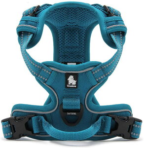 yzcocomall pn[lX p hbO ybgpi n[lX 3Mˍޗ P iC ^A^A^Ɍ ʋC ߉\ (L, Cu[)