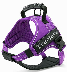 yzcocomall 2WAYAɗDn[lX Sypn[lX TRUE LOVE{X p hbO ybgpi n[lX[h 3Mˍޗ P iCf ^A^A^