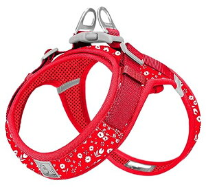 yzcocomall AɗDn[lX 2023ŐV TRUE LOVE{X pn[lX p hbO ybgpi n[lX[h 3Mˍޗ P iC ^A^A^Ɍ 