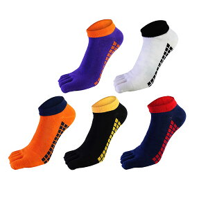 yz[fX] 5{w\bNX C 24-28cm Y ܖ{w\bNX rWlX\bNX VR z RۖhL X|[c\bNX 5Zbg