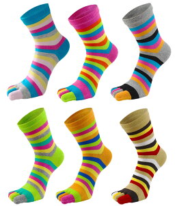 yz[fX] \bNX fB[X ܖ{w 6gZbg C  h ~ ₦΍ p X|[c \bNX JWA fB[XC