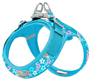 yzcocomall AɗDn[lX 2023ŐV TRUE LOVE{X pn[lX p hbO ybgpi n[lX[h 3Mˍޗ P iC ^A^A^Ɍ 