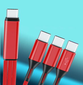 Sound Wave 3in1 IX IX O ϊ 66W }[d iC҂݃P[u 20cm 1{ Type C  Type C 3 ɕϊ X}z ^ubg  @ 3䓯ɏ[d TypeC YP[u P[u (20cm bh)