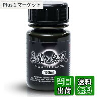 【9月1日ー9月15日まで200円オフ】【送料無料】光陽オリエントジャパン 真・黒色無双 100ml スプレー 模…