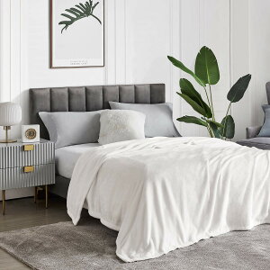 【送料無料】Hansleep 毛布 ダブル 冬用 白 ブランケット マイクロファイバー 柔らかく肌触り フランネル 洗える 静電防止 四季適用 (180x200,ホワイト)