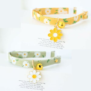 yzYINKE L Lp 2Zbg t f[W[̉ԕ Z[teBobN  lR   ^Kp y S S \ |GXe (O[{CG